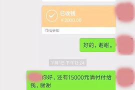 让胡路遇到恶意拖欠？专业追讨公司帮您解决烦恼